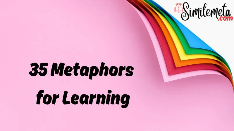 Metaphors for Learning