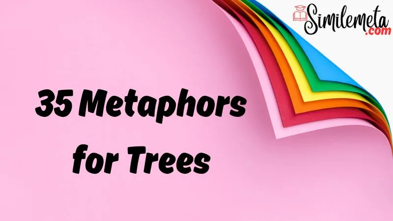 Metaphors for Trees