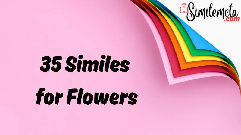 Similes for Flowers