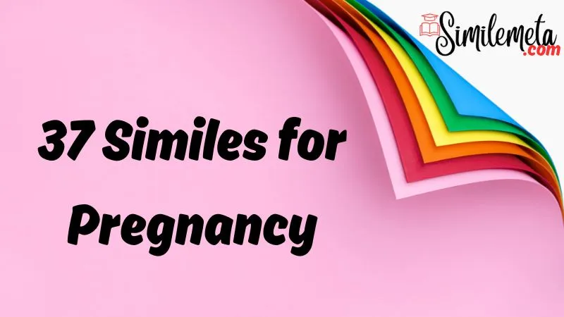 Similes for Pregnancy