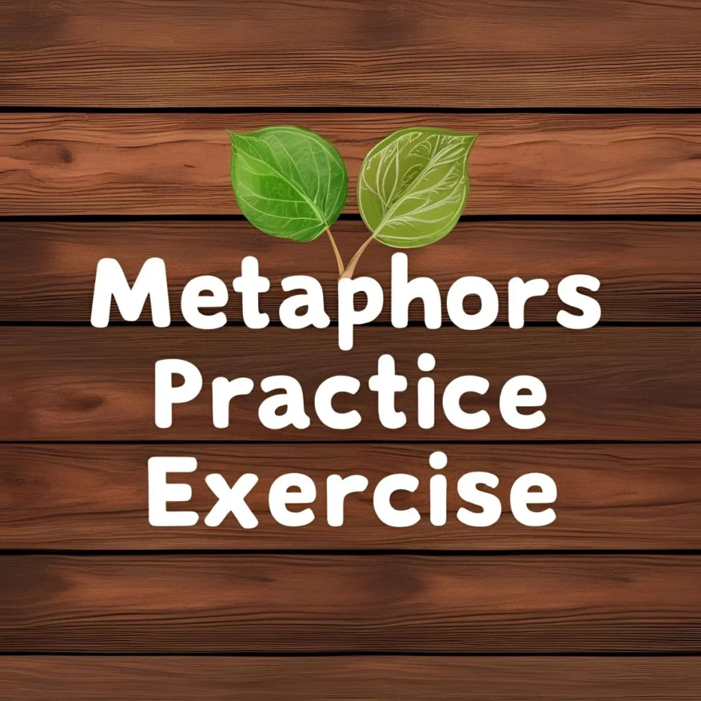Metaphors Practice Exercise