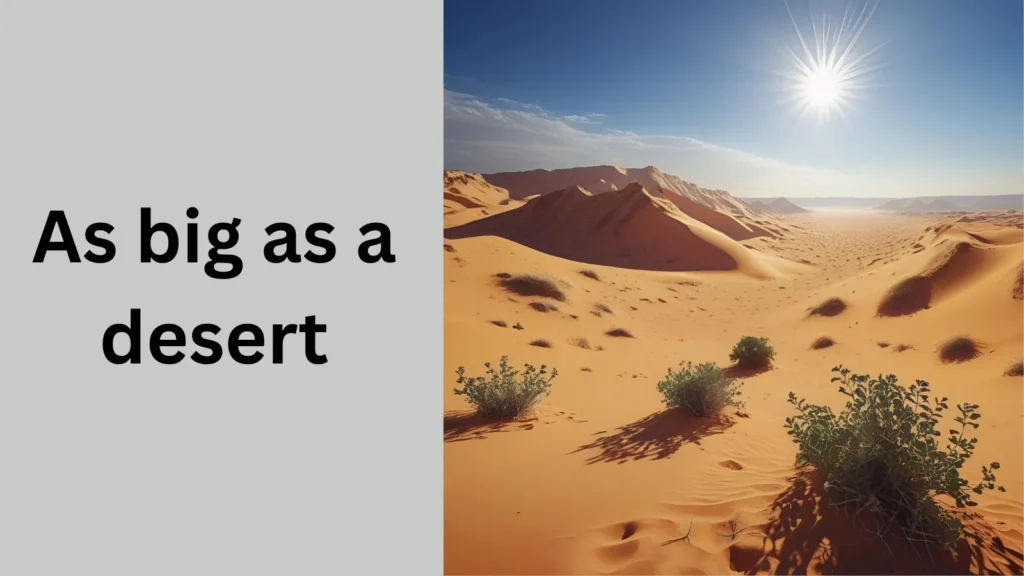 As big as a desert