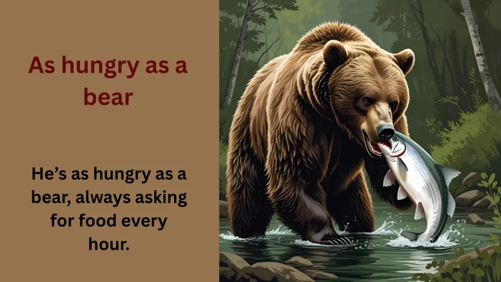 As hungry as a bear: similes for hungry