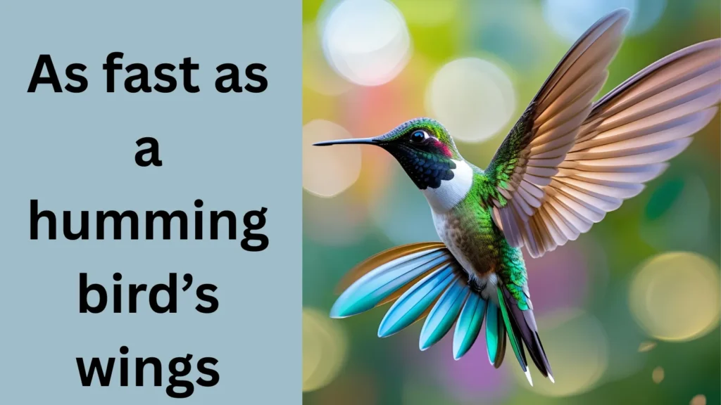 As fast as a hummingbird