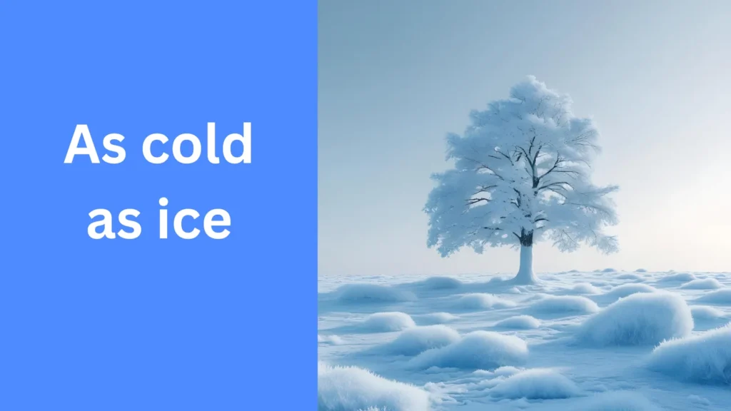 As cold as ice: similes for cold